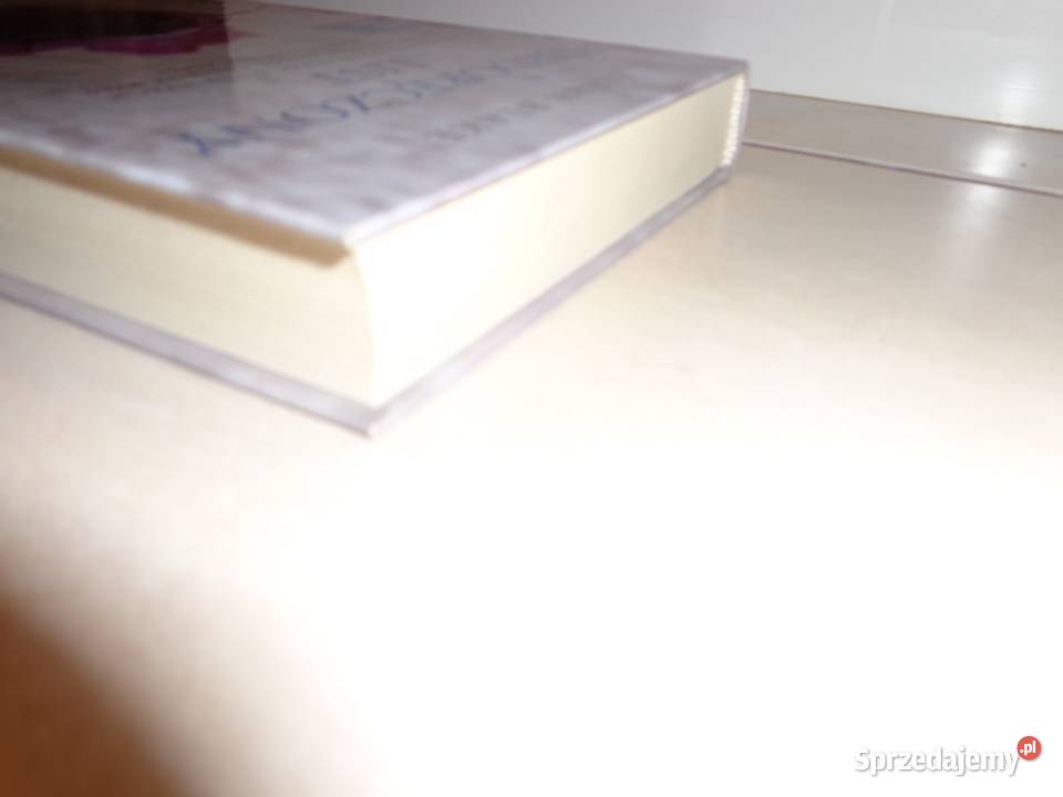 Sarah Blake Niedoręczony list Rok wydania 2014 Skwierzyna sprzedam