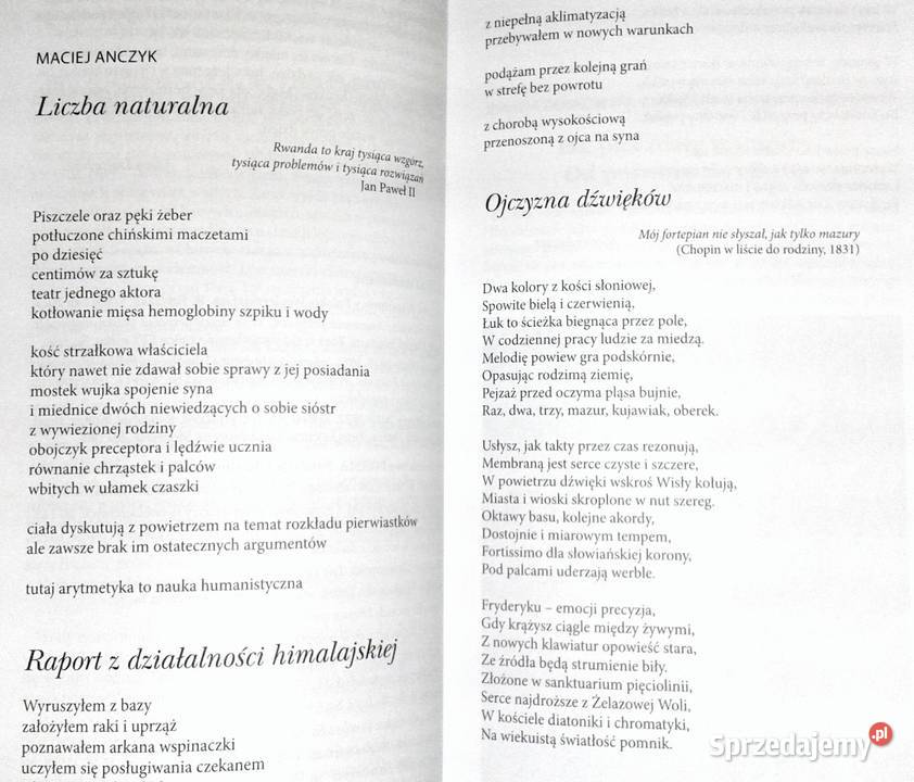 Akcent literatura i sztuka Kwartalnik 4 170 2022 Rok wydania 2022 Chełm