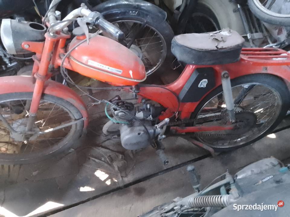 Komar Komar Przyłogi