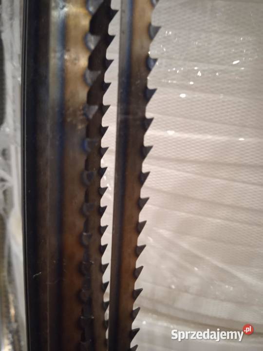 Piły tasmowe brzeszczoty mazowieckie