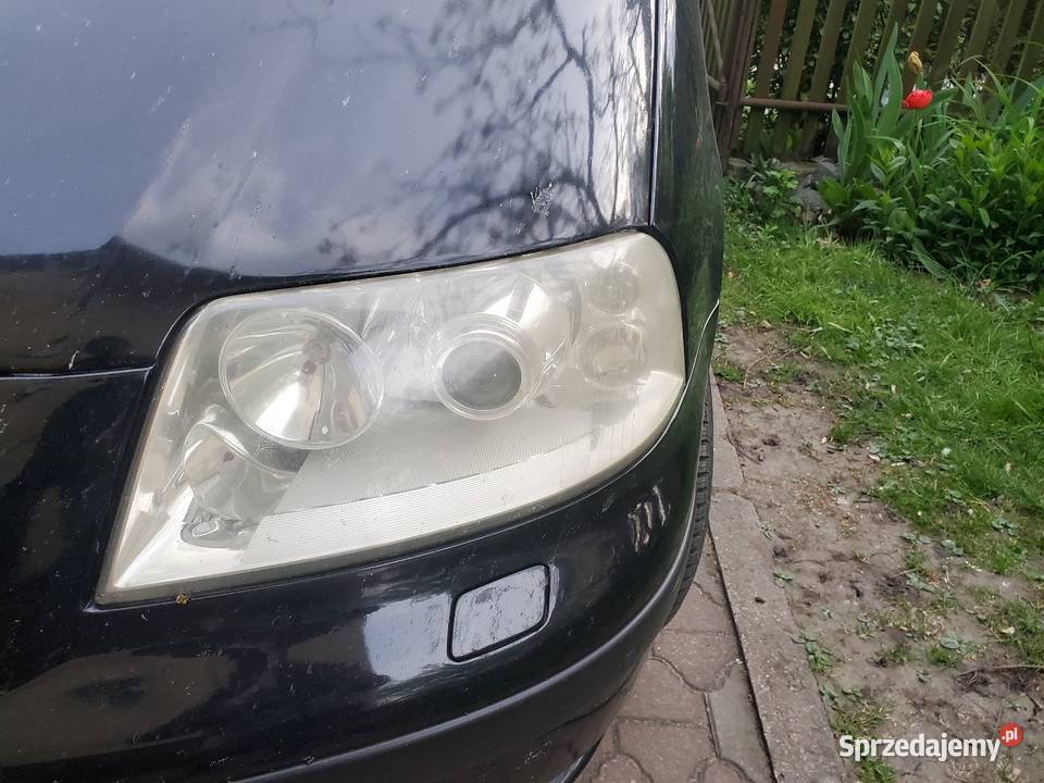 Lampy xenon Sharan Alhambra soczewka Rok produkcji 2002 Nowy Dwór Gdański