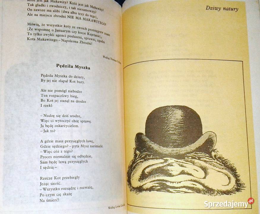 Księga nonsensu A Marianowicz A Nowicki Chełm