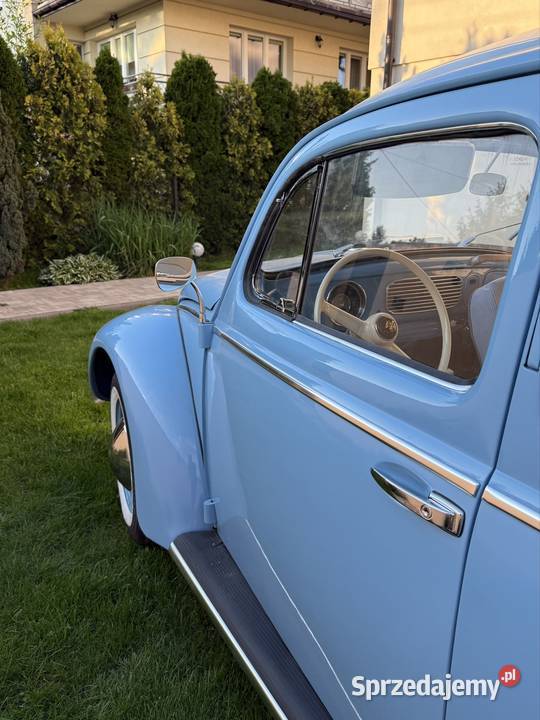 VW Garbus Oval 1954 Garbus