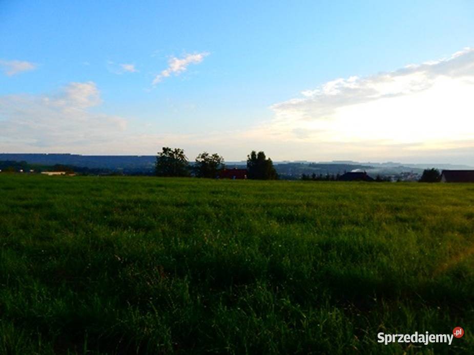 Syndyk sprzeda widokowe działki w Strzyżowie Strzyżów