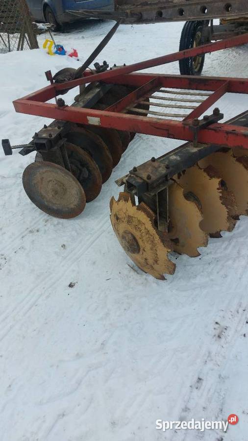 Talerzowka mazowieckie Stara Kornica