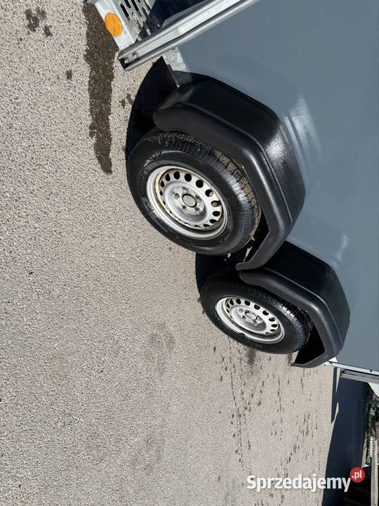 Boeckmann duo Bckmann do koni Solnica