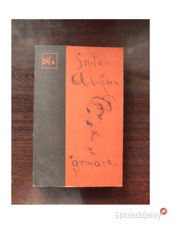 Szołem Alejchem Z jarmarku Biblioteka Pisarzy