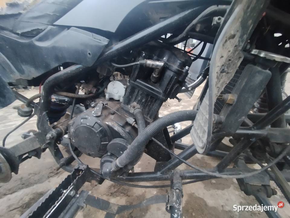 Bashan 250 zachodniopomorskie Jarosławiec