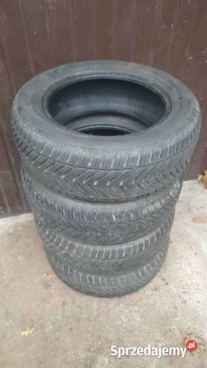 Opony 1856014 wielosezonowe 2023 60 Podkowa Leśna