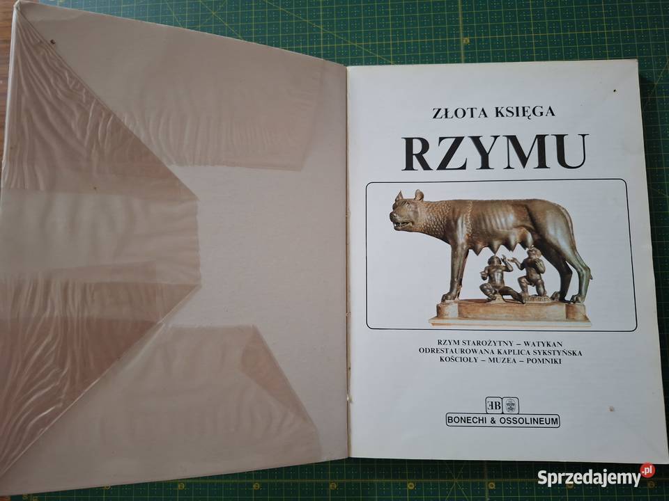 Wenecja Loretta Santini Kraków