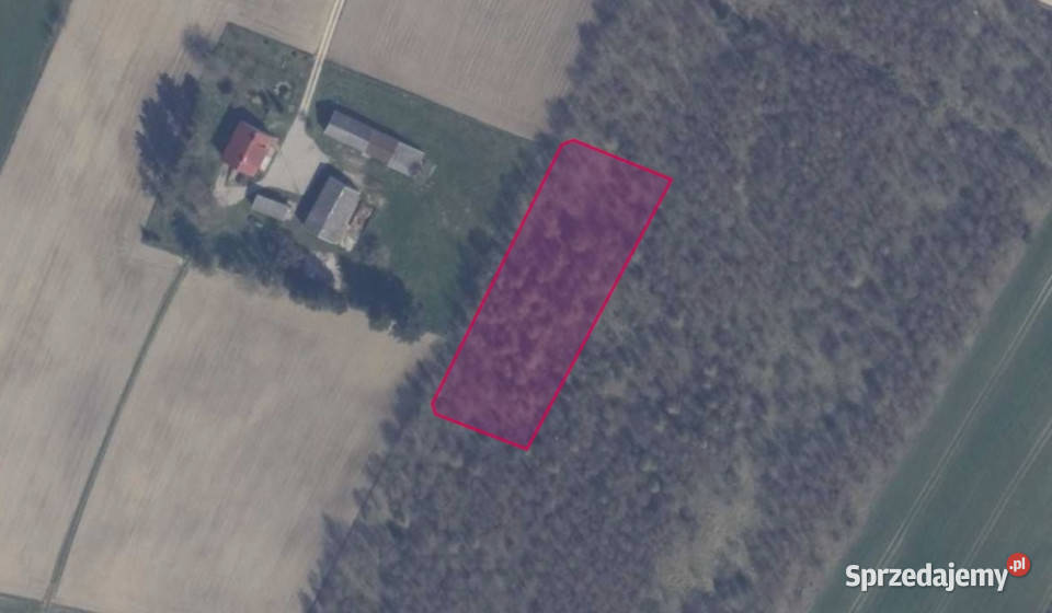 Działka 5805 w miejscowości Kielno