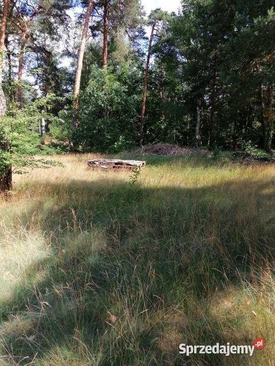 Nieruchomość Syndyka Józefów Wiązowska