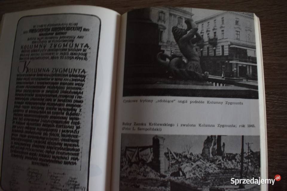 Okruchy brązu Tadeusz Łobieński kujawsko-pomorskie Chełmno sprzedam