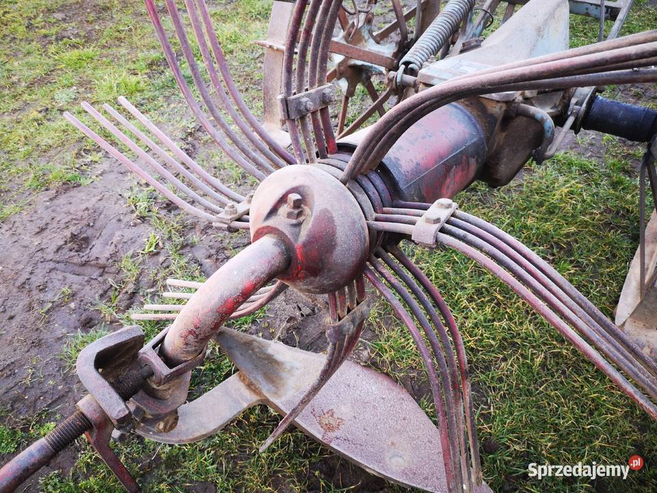 Kopaczka do ziemniaków PIONIER Stryjno