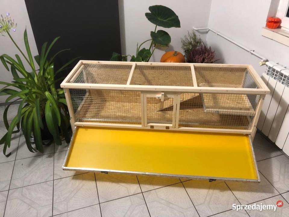 Klatka drewniana zagroda królika świnki morskiej