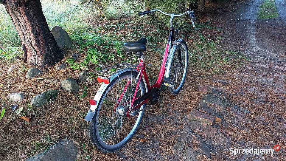 Alu Rower Miejski Damski Prince Damka Łabędź Wołów