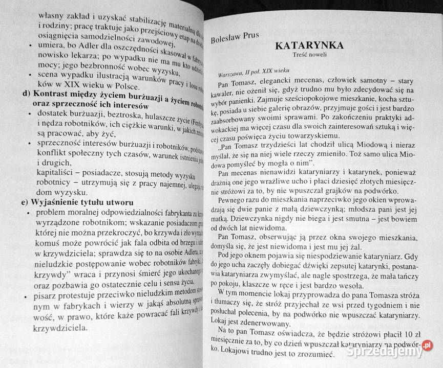 Pozytywizm Streszczenia problematyka Teresa Chełm