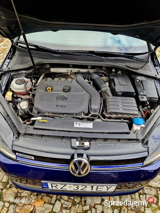 Volkswagen Golf VII 20182019 15 TSI BMT ACT podkarpackie