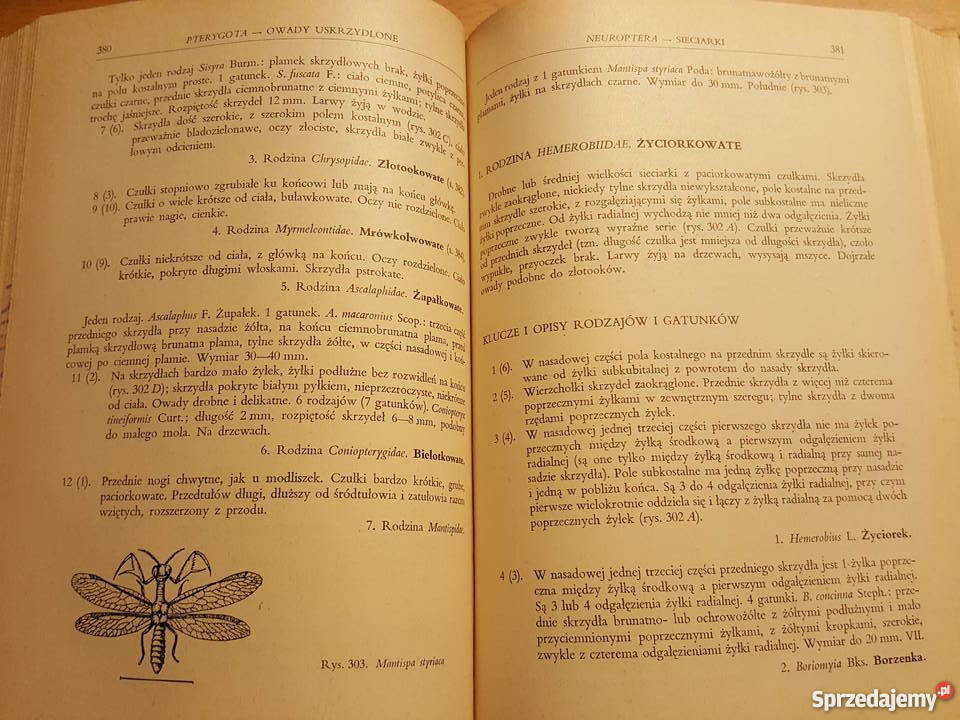 KSIĄŻKA Klucz do oznaczania owadów N Złotniki
