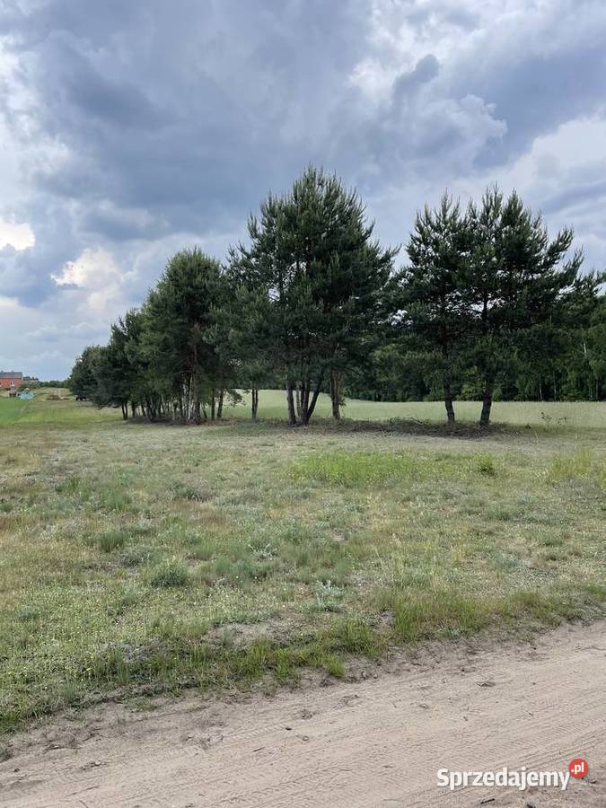 Działka z możliwością budowy domu 30 arów Osiny