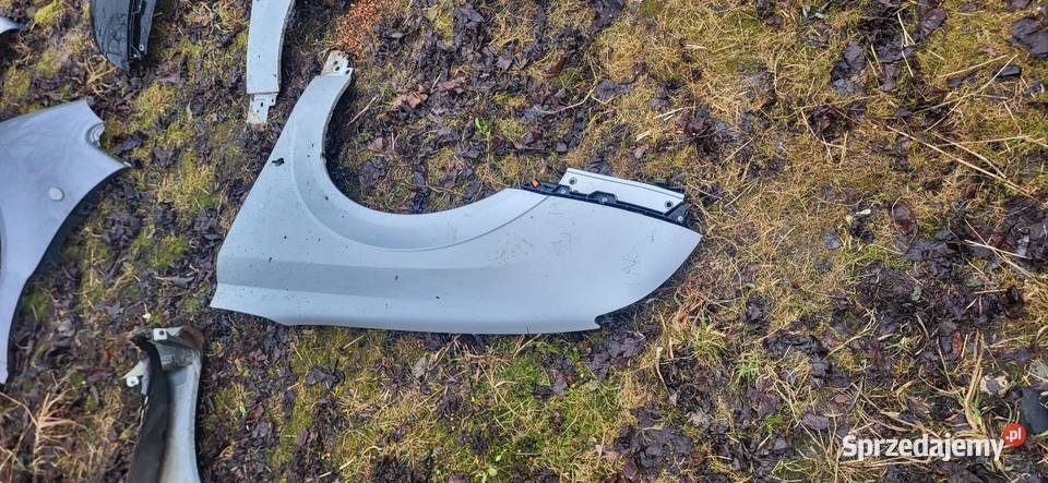 Błotnik Lewy Prawy Opel Vectra C Przed FL Różne osobowe małopolskie Żabno