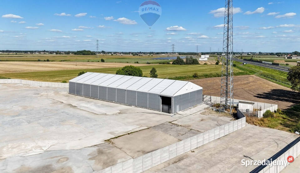 wynajmu Nowy Tomyśl