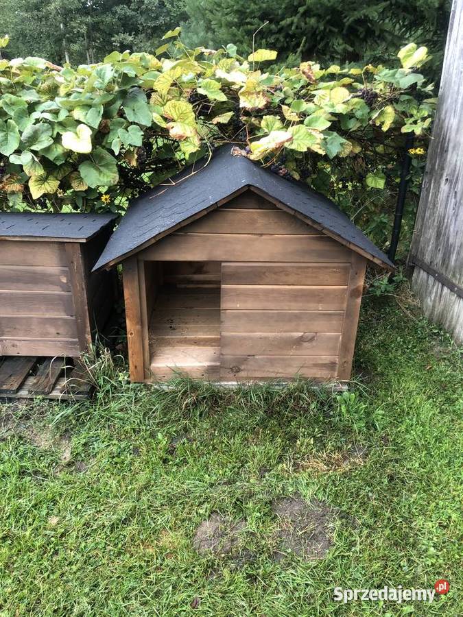 Domki dzieci wc Buda psa kota Sawin sprzedam