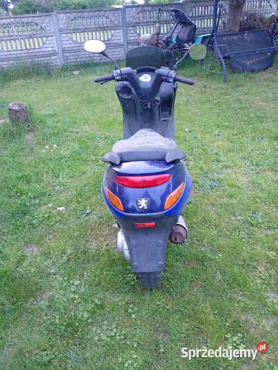 Pegot elyseo 50 2t Kielce