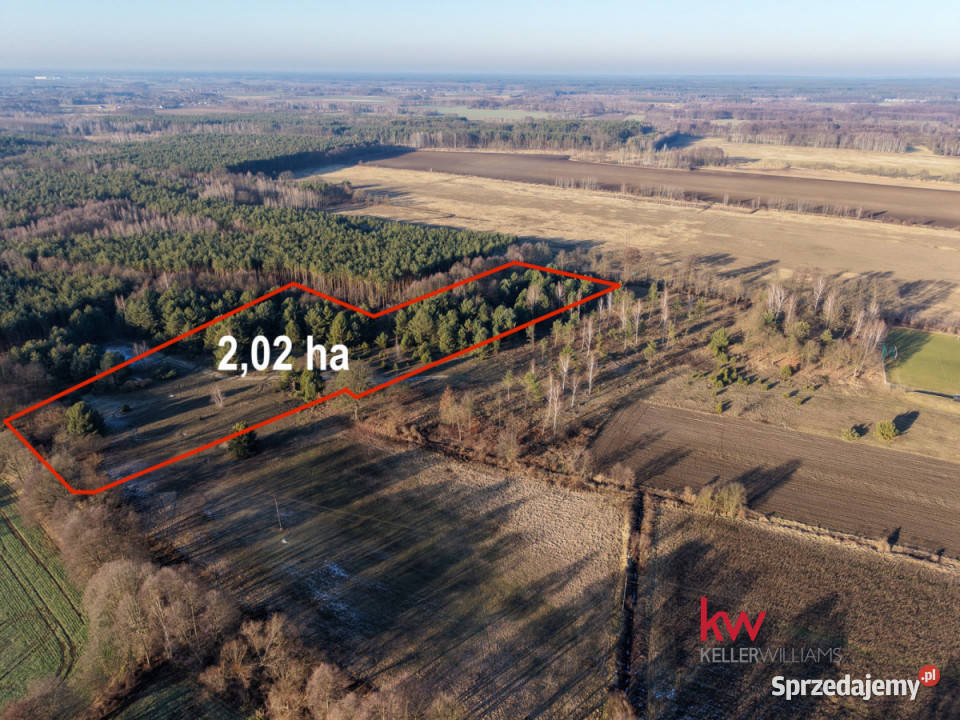 Sprzedam działka Kuźniczysko 20200m2 dolnośląskie