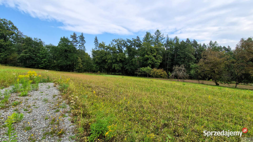 Działka 1204m2 Izdebnik 23m