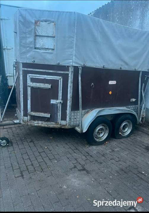 Przyczepa do przewozu koni zwierząt Leszno