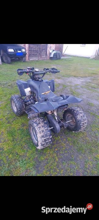 quad bombardier atv Bombardier Chmielów sprzedam