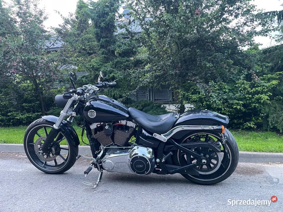 Harley Davidson bezwypadkowy Płock