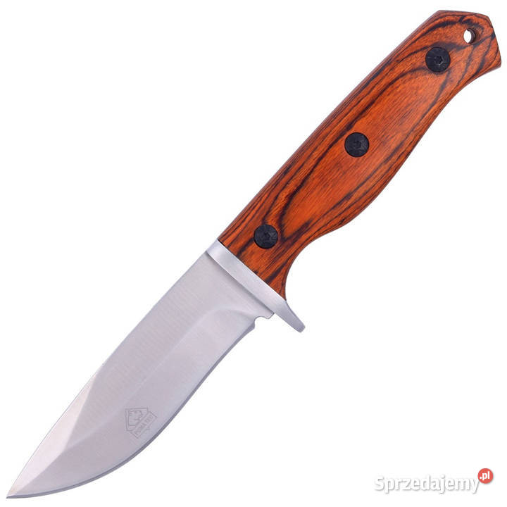 Nóż myśliwski Puma Solingen Pakka Wood Satin