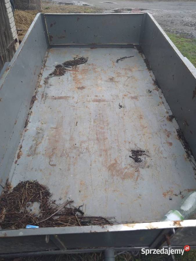 Przyczepka samochodowa Strzyżewice