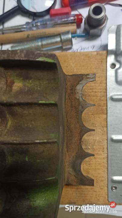 głowica z wybraniamy promieniami faba baboszewo Kłodawa