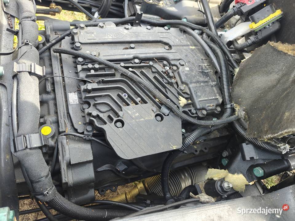 Man TGS 26330 2025r Rok produkcji 2025 Chodecz