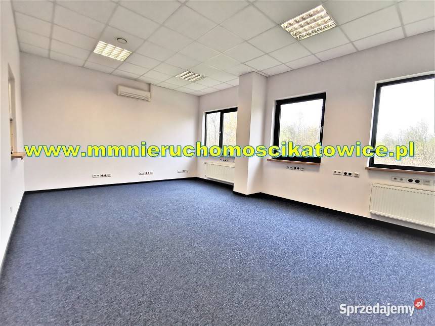 Powierzchnie magazynowe do wynajęcia do 10000 m2 9375m2 Sosnowiec sprzedam
