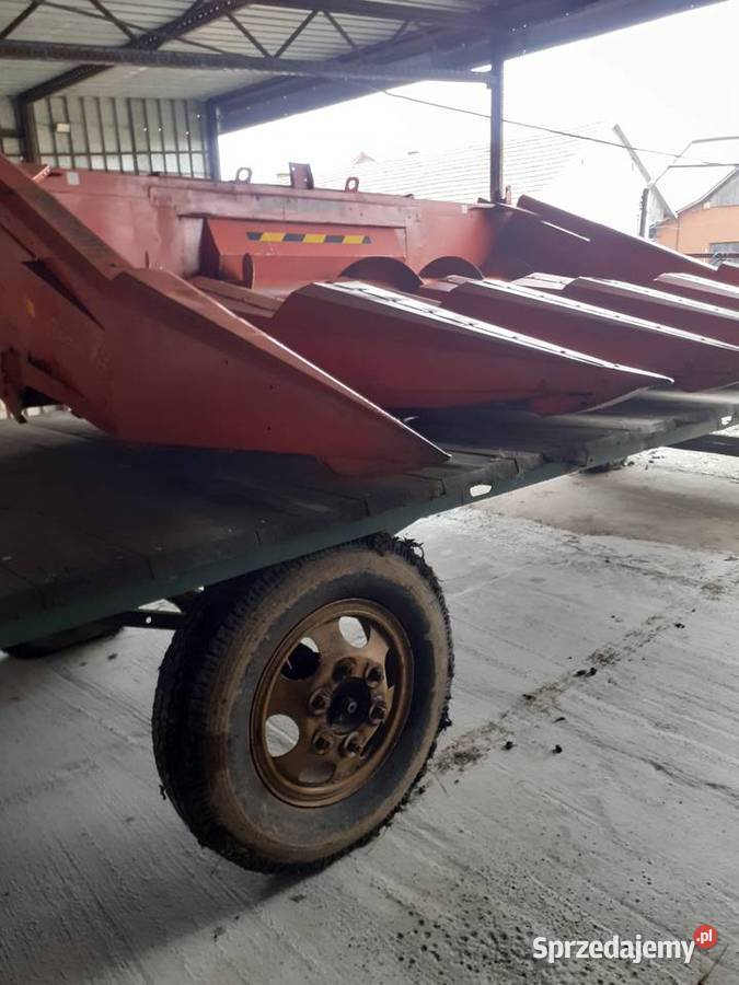 Przystawka do kukurydzy 5 rzędowa geringhoff Szczucin