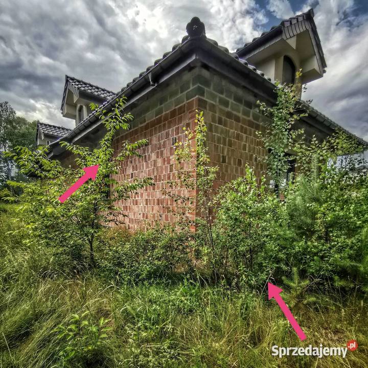 Koszenie KOSĄ SPALINOWĄ działek ogrodów wysokiej Częstochowa