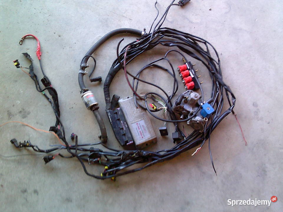 instalacja gazowa stag lubelskie Kiełczewice Dolne