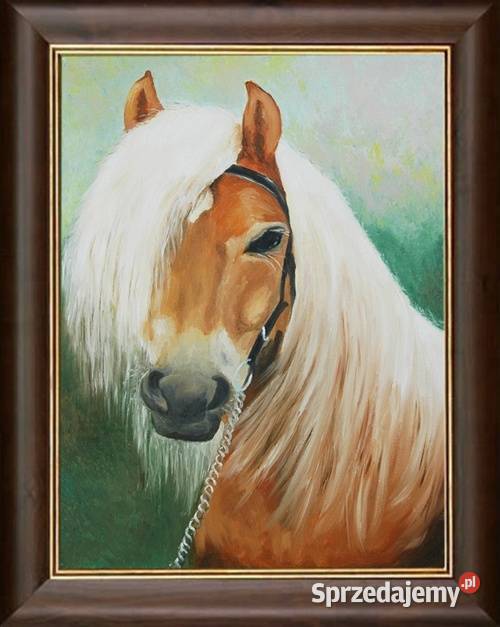 Obraz olejny Białogrzywy koń lubelskie Lublin