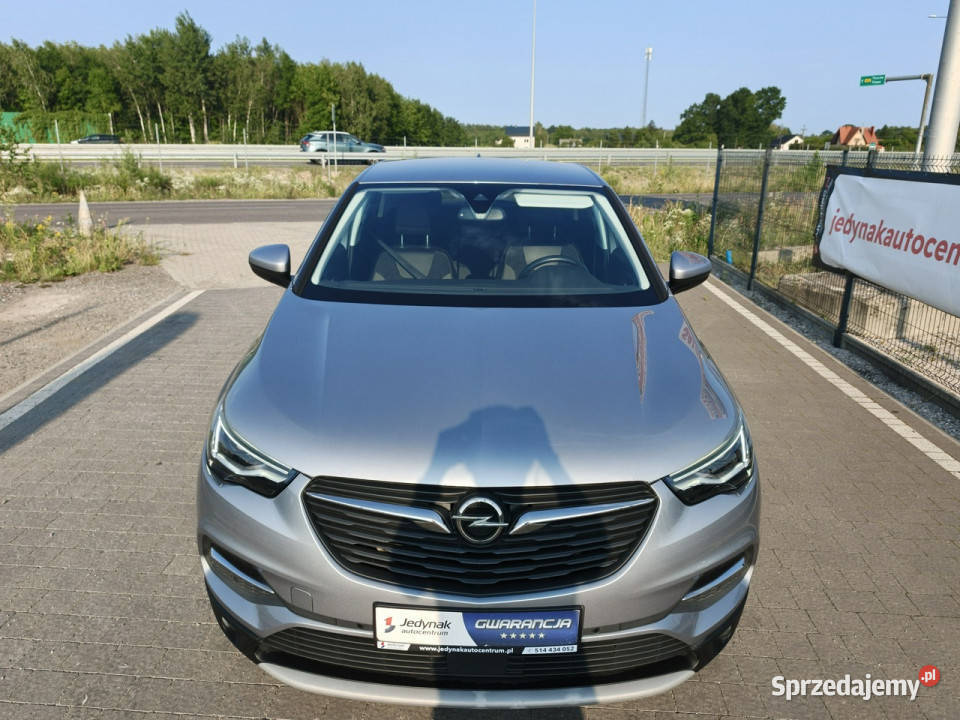 Opel Grandland X Lipówki
