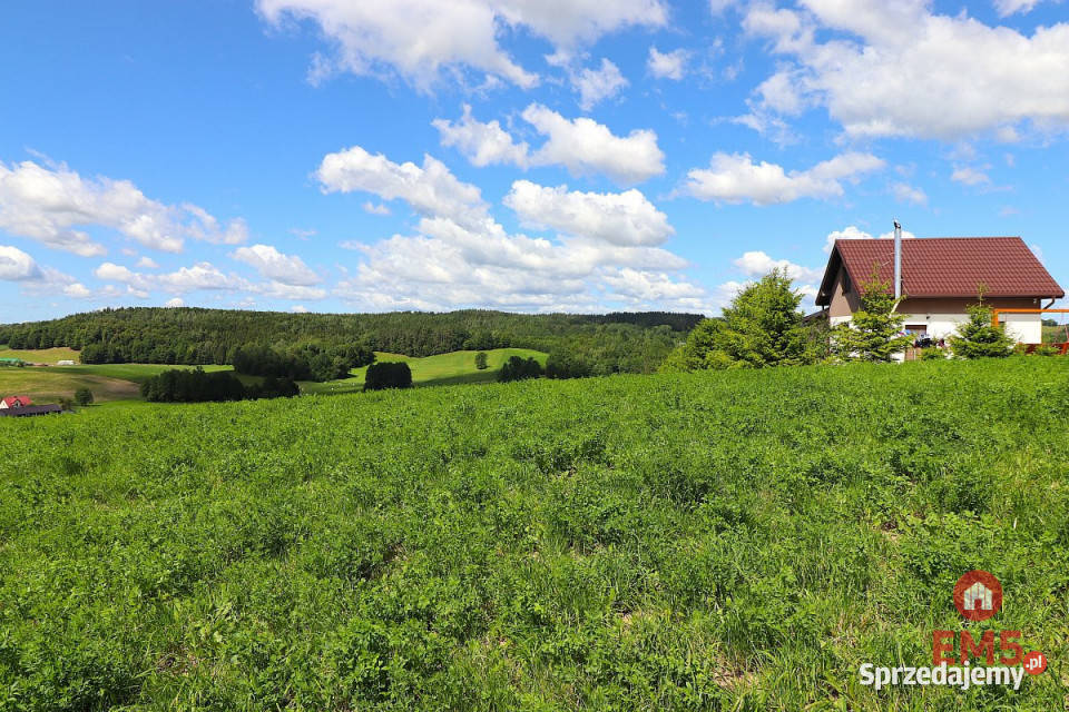 sprzedaży gruntu 4800m2 Olszanka 4800m2 podlaskie sprzedam