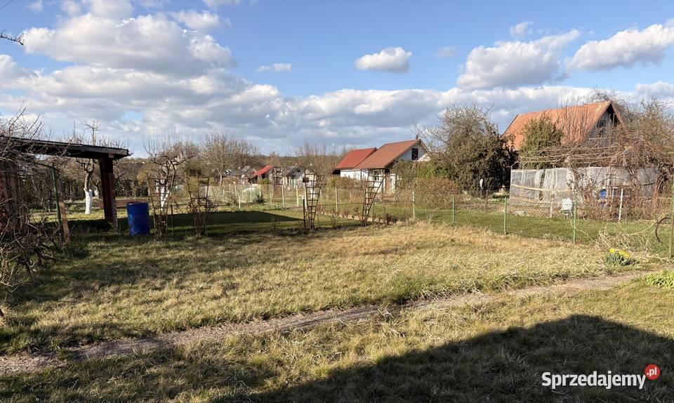 Działka Rod Dzierżona Nysa nie zalana