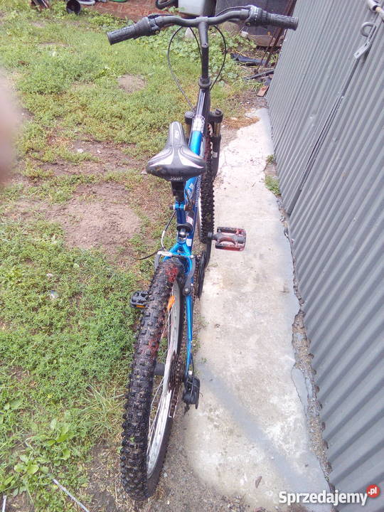 Rower Caledonia Hornet 24 Uwieliny sprzedam