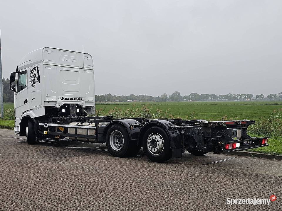 DAF XG 480 ZFintarder system BDF 6x2 2022 pomorskie