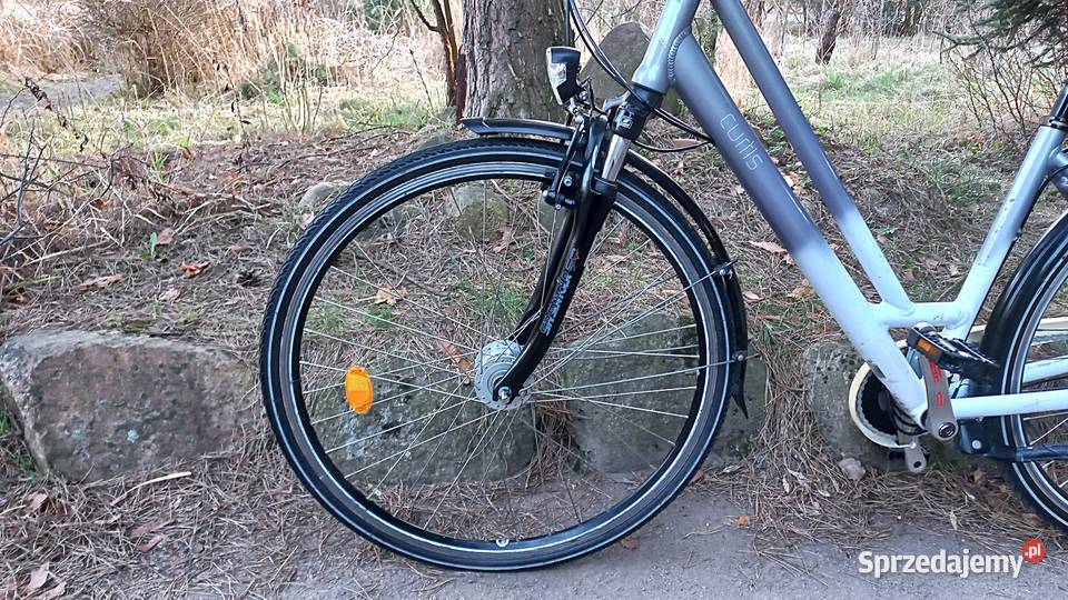 Alu Rower Miejski Damski Curtis Damka Nexus 7 Wołów