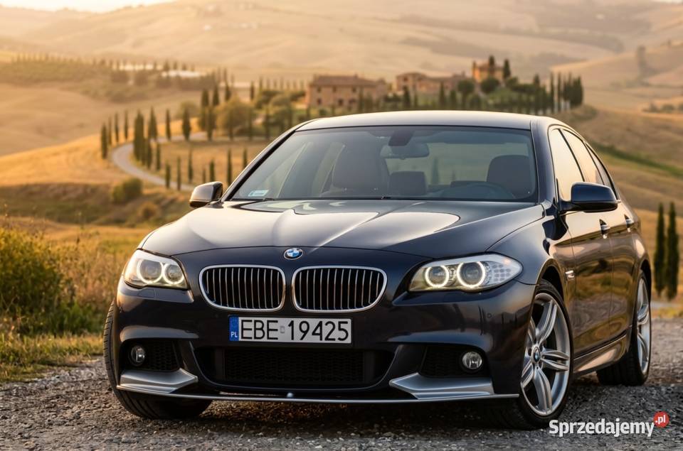 BMW Seria 5 F10 MPakiet skóry zadbany okazja tempomat