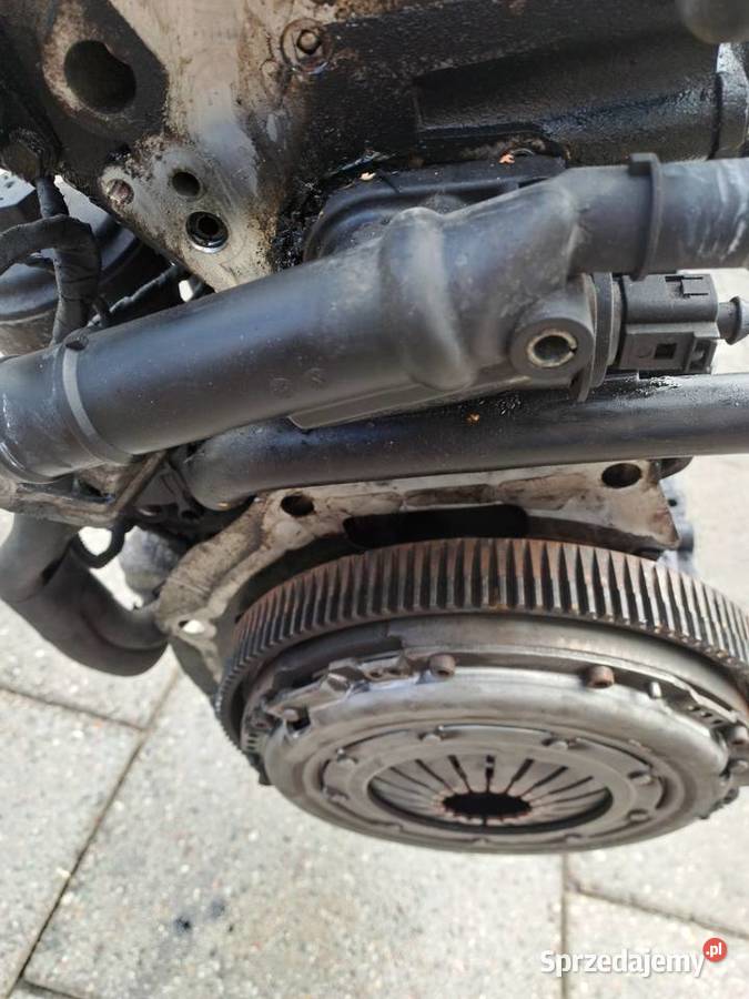 Audi Seat Skoda Volkswagen 19 TDi 105 silnik kod Jastrzębie-Zdrój